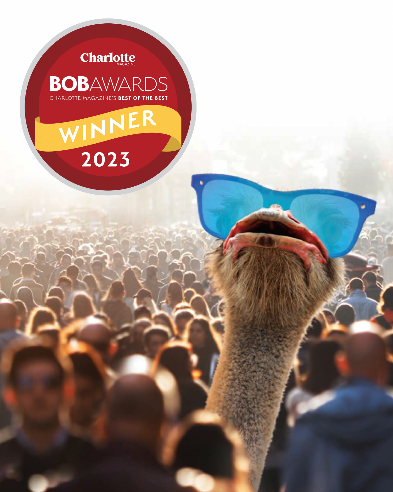 HAVEN Best of Best Charlotte